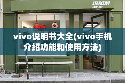 vivo说明书大全(vivo手机介绍功能和使用方法)