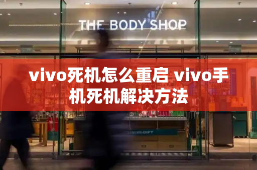 vivo死机怎么重启 vivo手机死机解决方法