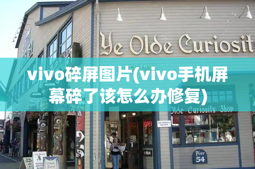 vivo碎屏图片(vivo手机屏幕碎了该怎么办修复)-第1张图片-星选测评