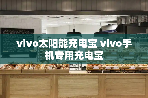 vivo太阳能充电宝 vivo手机专用充电宝-第1张图片-星选测评