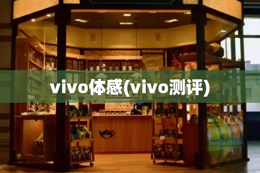 vivo体感(vivo测评)-第1张图片-星选测评