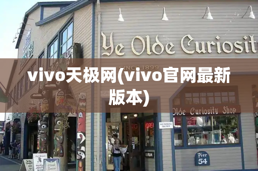 vivo天极网(vivo官网最新版本)-第1张图片-星选测评
