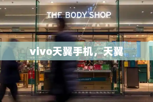 vivo天翼手机，天翼-第1张图片-星选测评