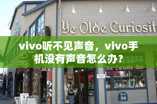 vivo听不见声音，vivo手机没有声音怎么办？