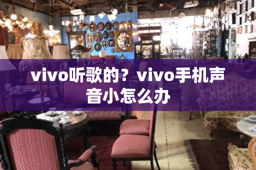 vivo听歌的？vivo手机声音小怎么办