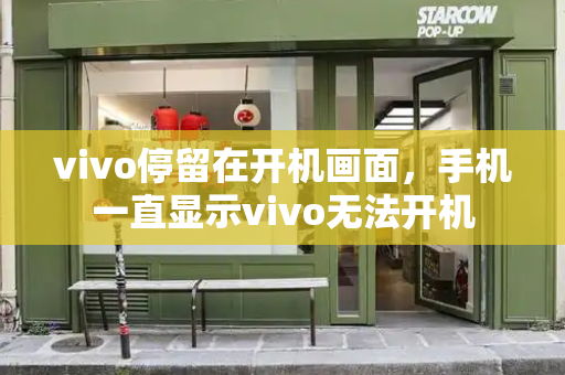 vivo停留在开机画面，手机一直显示vivo无法开机-第1张图片-星选测评