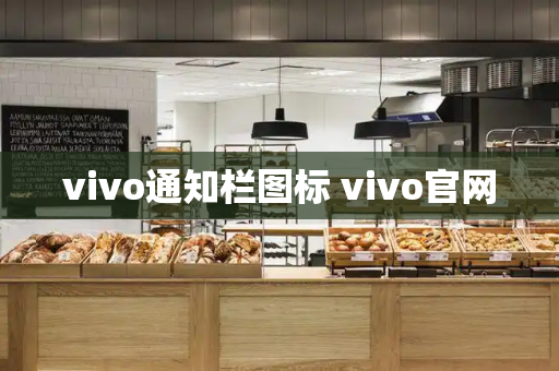 vivo通知栏图标 vivo官网