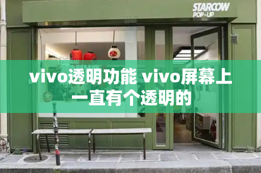 vivo透明功能 vivo屏幕上一直有个透明的