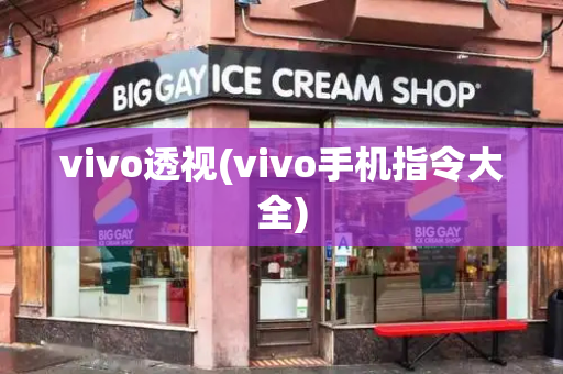 vivo透视(vivo手机指令大全)-第1张图片-星选测评