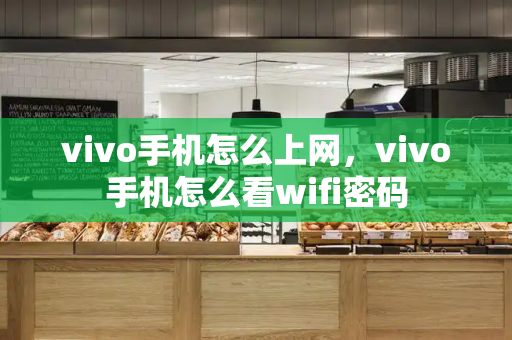 vivo手机怎么上网，vivo手机怎么看wifi密码-第1张图片-星选测评