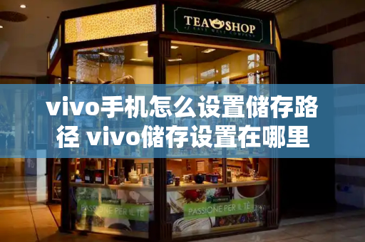 vivo手机怎么设置储存路径 vivo储存设置在哪里-第1张图片-星选测评