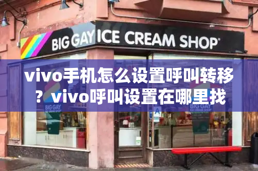 vivo手机怎么设置呼叫转移？vivo呼叫设置在哪里找