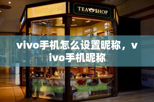 vivo手机怎么设置昵称，vivo手机昵称-第1张图片-星选测评