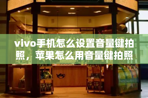 vivo手机怎么设置音量键拍照，苹果怎么用音量键拍照