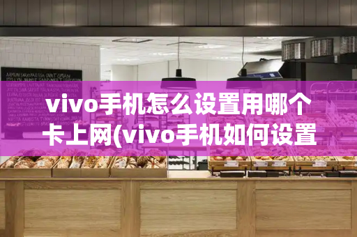 vivo手机怎么设置用哪个卡上网(vivo手机如何设置网络)