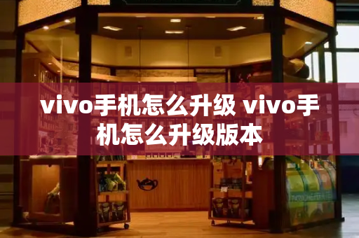 vivo手机怎么升级 vivo手机怎么升级版本