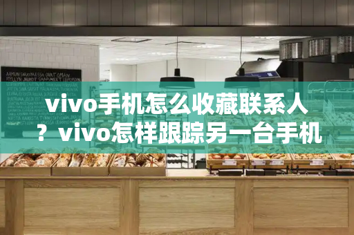 vivo手机怎么收藏联系人？vivo怎样跟踪另一台手机-第1张图片-星选测评