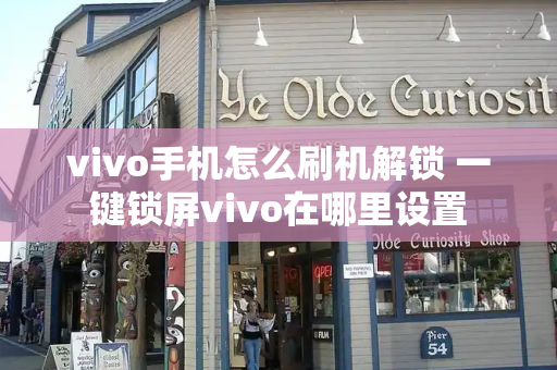 vivo手机怎么刷机解锁 一键锁屏vivo在哪里设置-第1张图片-星选测评
