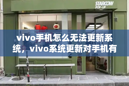 vivo手机怎么无法更新系统，vivo系统更新对手机有影响吗