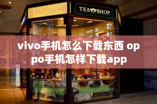 vivo手机怎么下载东西 oppo手机怎样下载app-第1张图片-星选测评