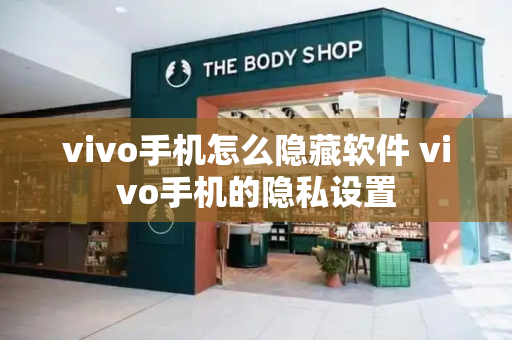 vivo手机怎么隐藏软件 vivo手机的隐私设置