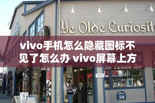vivo手机怎么隐藏图标不见了怎么办 vivo屏幕上方图标全解-第1张图片-星选测评