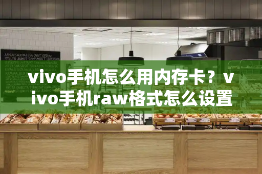 vivo手机怎么用内存卡？vivo手机raw格式怎么设置-第1张图片-星选测评