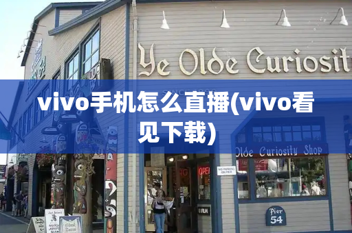 vivo手机怎么直播(vivo看见下载)-第1张图片-星选测评