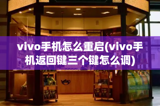 vivo手机怎么重启(vivo手机返回键三个键怎么调)-第1张图片-星选测评