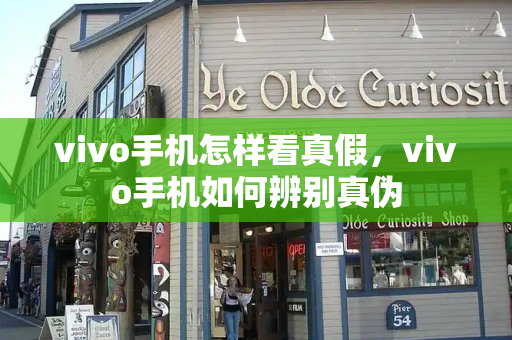 vivo手机怎样看真假，vivo手机如何辨别真伪-第1张图片-星选测评