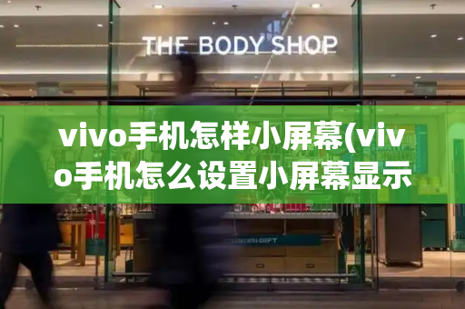 vivo手机怎样小屏幕(vivo手机怎么设置小屏幕显示)-第1张图片-星选测评