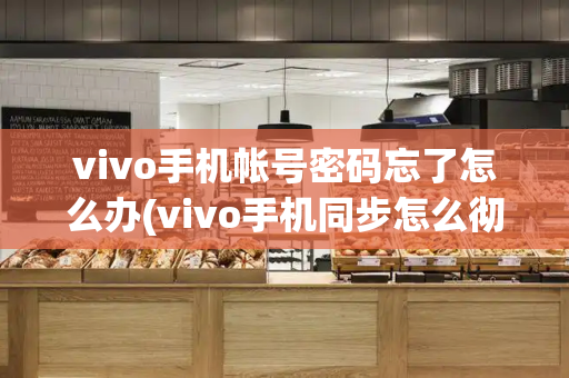 vivo手机帐号密码忘了怎么办(vivo手机同步怎么彻底关闭)-第1张图片-星选测评
