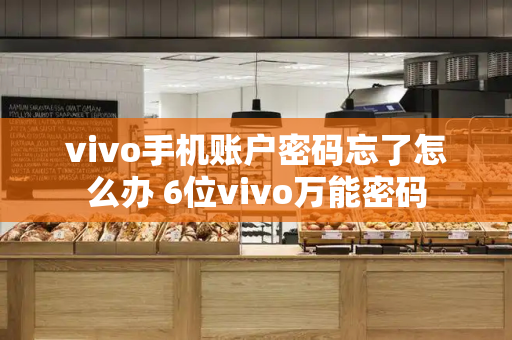 vivo手机账户密码忘了怎么办 6位vivo万能密码