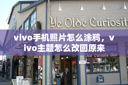 vivo手机照片怎么涂鸦，vivo主题怎么改回原来-第1张图片-星选测评