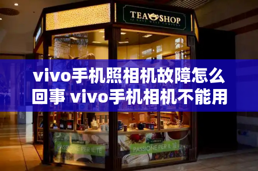 vivo手机照相机故障怎么回事 vivo手机相机不能用怎么回事-第1张图片-星选测评