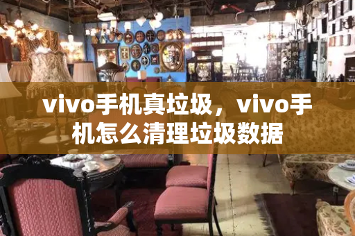 vivo手机真垃圾，vivo手机怎么清理垃圾数据-第1张图片-星选测评
