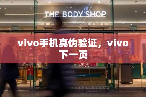 vivo手机真伪验证，vivo下一页-第1张图片-星选测评