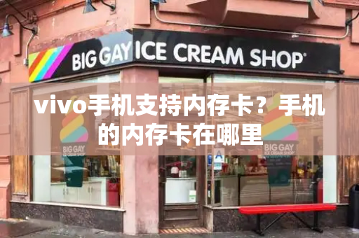 vivo手机支持内存卡？手机的内存卡在哪里-第1张图片-星选测评