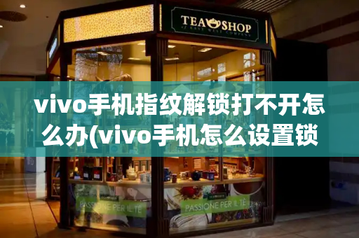 vivo手机指纹解锁打不开怎么办(vivo手机怎么设置锁屏密码)