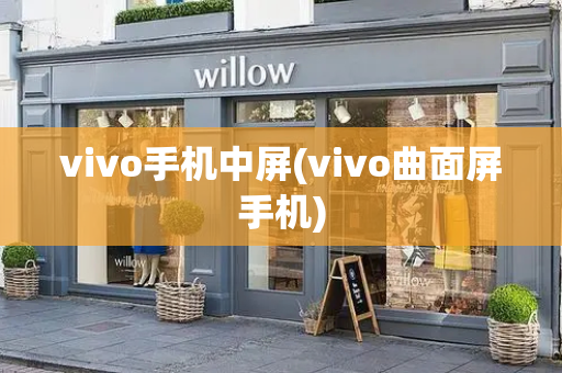 vivo手机中屏(vivo曲面屏手机)