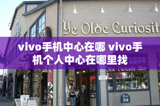 vivo手机中心在哪 vivo手机个人中心在哪里找-第1张图片-星选测评