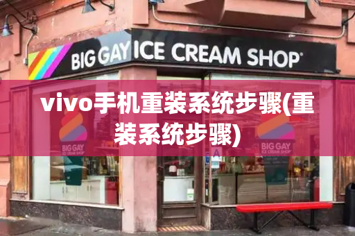 vivo手机重装系统步骤(重装系统步骤)-第1张图片-星选测评