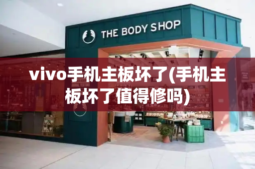 vivo手机主板坏了(手机主板坏了值得修吗)-第1张图片-星选测评