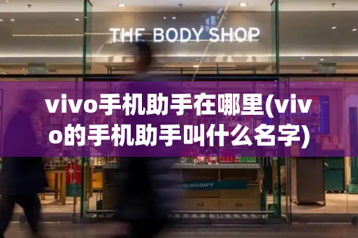 vivo手机助手在哪里(vivo的手机助手叫什么名字)-第1张图片-星选测评