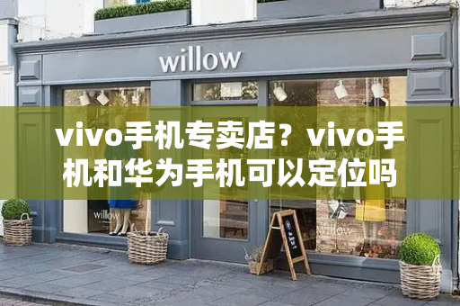 vivo手机专卖店？vivo手机和华为手机可以定位吗-第1张图片-星选测评