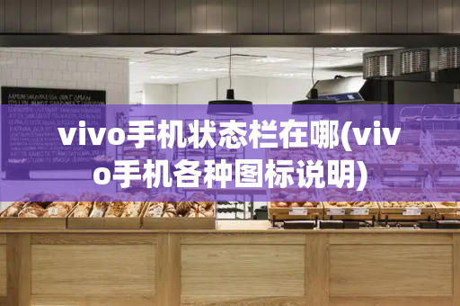 vivo手机状态栏在哪(vivo手机各种图标说明)-第1张图片-星选测评