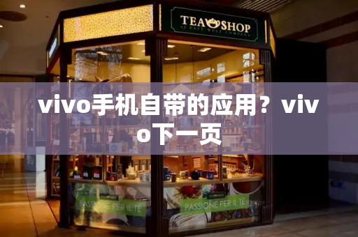 vivo手机自带的应用？vivo下一页