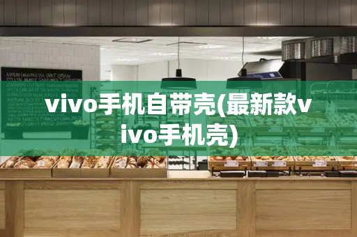 vivo手机自带壳(最新款vivo手机壳)