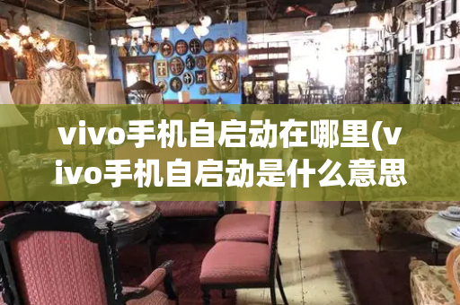 vivo手机自启动在哪里(vivo手机自启动是什么意思)-第1张图片-星选测评