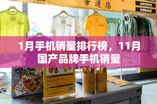 1月手机销量排行榜，11月国产品牌手机销量-第1张图片-星选测评